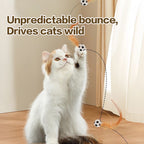 Pet Interactive Feather Bouncy Ball Toy