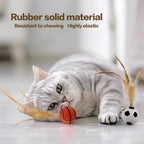 Pet Interactive Feather Bouncy Ball Toy