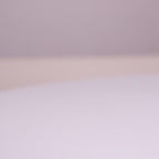 Pet Interactive Feather Bouncy Ball Toy