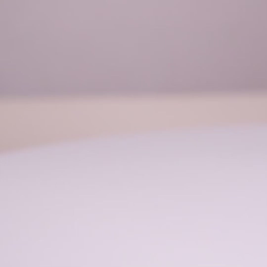 Pet Interactive Feather Bouncy Ball Toy